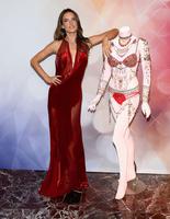 adriana_lima_and_alessandra_ambrosio_at_vs_secret_dream_fantasy_bra_debut_in_las_vegas_5.jpg