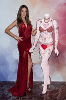alea131114BZNImage041.jpg