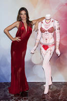 alea131114BZNImage043.jpg