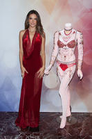alea131114BZNImage032.jpg