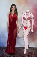 alea131114BZNImage034.jpg