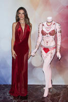 alea131114BZNImage035.jpg