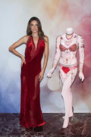 alea131114BZNImage036.jpg