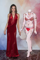 alea131114BZNImage039.jpg