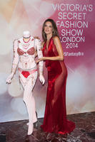 alea131114BZNImage040.jpg