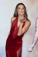 alea131114BZNImage014.jpg