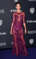 alessandra_ambrosio_red_see_through_dress_golden_globes_afterparties_2015_main.jpg