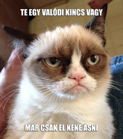 egy_val__di.png