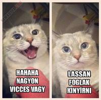 1354972638_lassan.jpg