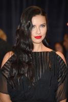 adriana_lima_at_101st_white_house_correspondents_association_dinner_3.jpg