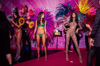 victoria_secret_fashion_show_2015_ss14.jpg