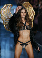 Manners_Victorias_Secret_Fashion_Show_2015_Izabel_Goulart_2.jpg