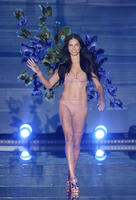 Adriana_Lima__2015_Victorias_Secret_Fashion_Show_Runway__15.jpg