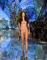 Adriana_Lima_Victoria_Secret_Fashion_Show_2015_Pictures__5_.jpg