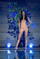 Adriana_Lima_Victoria_Secret_Fashion_Show_2015_Pictures__6_.jpg