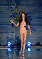 Adriana_Lima_Victoria_Secret_Fashion_Show_2015_Pictures__7_.jpg