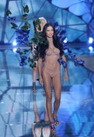 adriana_lima_walks_2015_victorias_secret_fashion_show_1.jpg