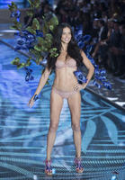 all_the_pics_from_the_2015_victoria_s_secret_fashion_show_adriana_lima_8.jpg