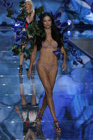 Victorias_Secret_Fashion_show_2015_AdrianaLima.jpg