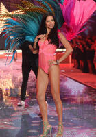 Adriana_Lima_Victoria_Secret_Fashion_Show_2015_Pictures__5_.jpg