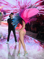 Adriana_Lima_Victoria_Secret_Fashion_Show_2015_Pictures__6_.jpg