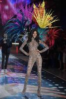 20_Victorias_Secret_2015_Fashion_Show_Photos_Cindy_Bruna.jpg