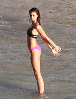 Taylor5.jpg