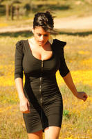 fields_1.jpg