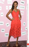Rex_Victorias_Secret_Angels_5585233X.jpg