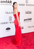 Adriana_Lima_amfAR_New_York_Gala_2016.868213d38f4b678eadf3ec7281a74bda.jpg