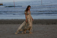 SPL1343226_005.jpg