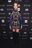 hbz_bazaar_icons_getty_daphne_groeneveld.jpg