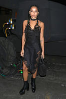 hbz_wang_zoe_kravitz.jpg