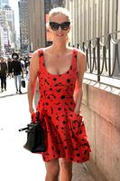 nicky_hilton_paris_hilton_carolina_herrera_ss17_nyfw_in_new_york_city_9_11_16_7.jpg