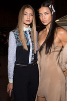 57e6d0cb6026f_versace19.1732688dd1b315272018c1189135391b.jpg