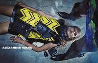 Alexander_Wang_Fall_Winter_2014_2015_ad_4.jpg