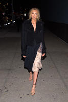 romees071116ZNimage6.6fbaf1a73f45fe22f4506c2a9c09a881.jpg