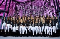 vs_2817129.jpg