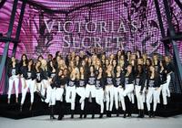 vs_2818529.jpg