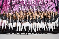 vs_2825029.jpg