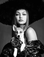 53217281_gigi5.jpg