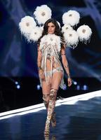 sarasampaio_victoriassecretfashionshow2017_22.3e109caba76627668554148137554daf.jpg