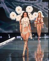 sarasampaio_victoriassecretfashionshow2017_46.d89d9e3b41e463a59d131037a202bd19.jpg