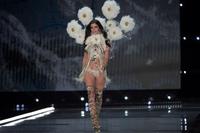 sarasampaio_victoriassecretfashionshow2017_75.d1c0526b3ec113ba561cfc4146e32e10.jpg