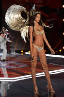 deb6bb670011863.jpg