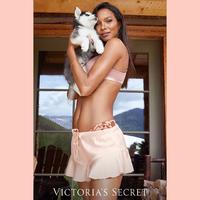 lais2017.jpg