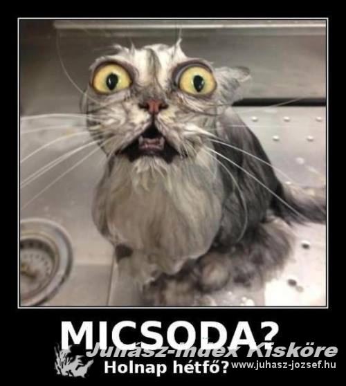 image_micsoda.jpg