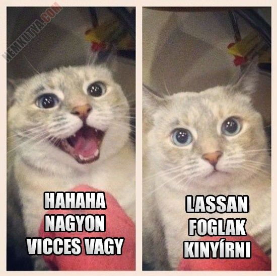 1354972638_lassan.jpg
