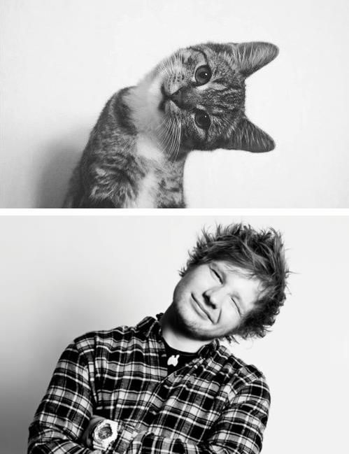 ed_sheeran.jpg